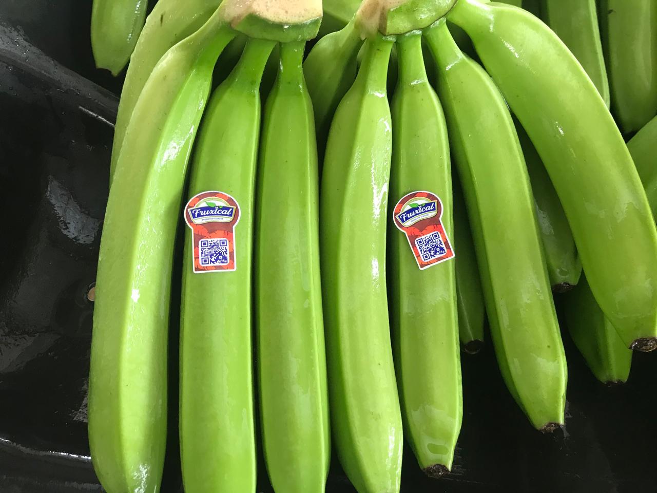 Professional Ripening Programs
